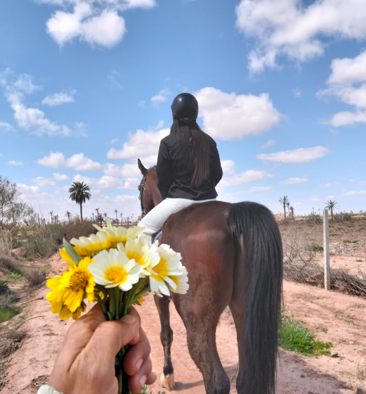 Balade privée à cheval dans la Palmeraie de Marrakech