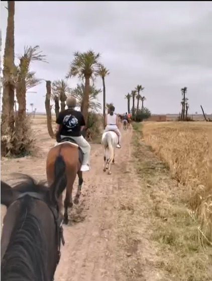 Demi-journée à cheval avec déjeuner marocain dans la Palmeraie
