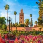 Que Faire à Marrakech ? 10 Raisons Incroyables de Choisir une Balade à Cheval dans la Palmeraie