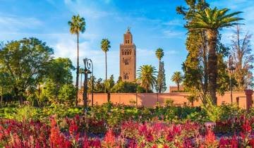 Que Faire à Marrakech ? 10 Raisons Incroyables de Choisir une Balade à Cheval dans la Palmeraie