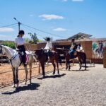 Balade à Cheval Marrakech pour Débutants et Familles : 7 Conseils Incroyables pour une Expérience Réussie