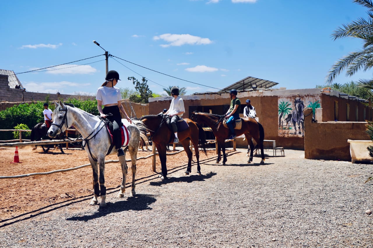 Cheval Marrakech