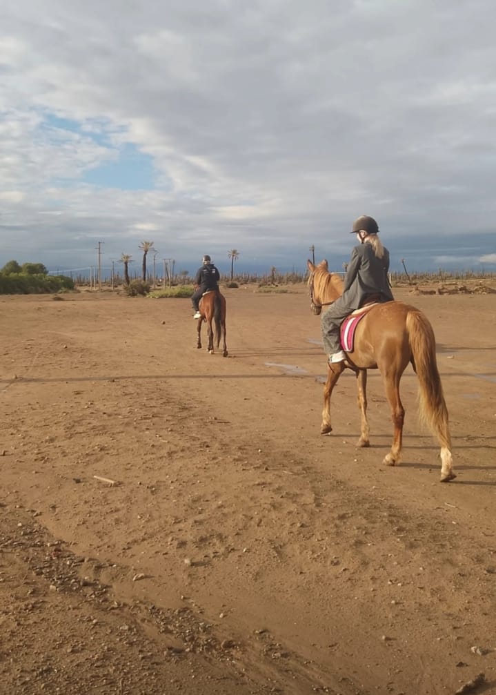 Cheval guide Marrakech
