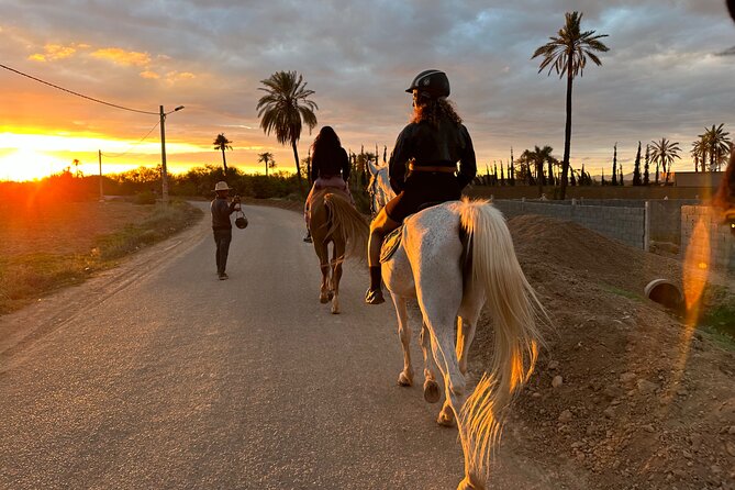 Palmeraie Marrakech paysage