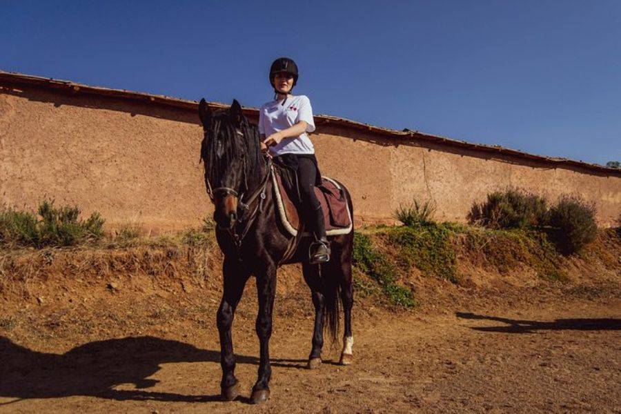 Cheval Marrakech Atlas Palmeraie