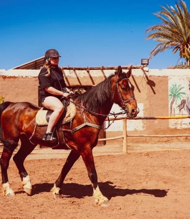Équitation Palmeraie