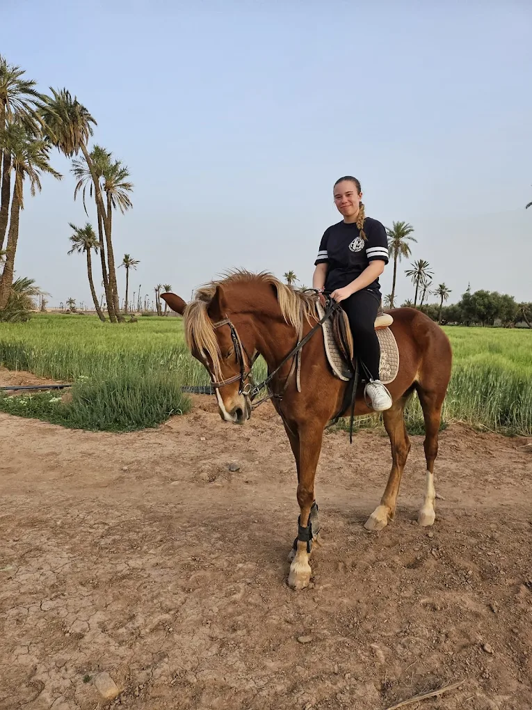 Cheval Palmeraie